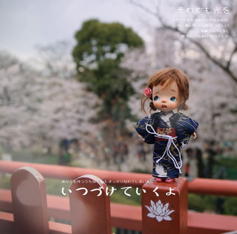 1/8 1/6 1/4 1/3 BJD ชุดกิโมโนญ - Japanese Lifestyle Shoes บทวิจารณ์และราคา